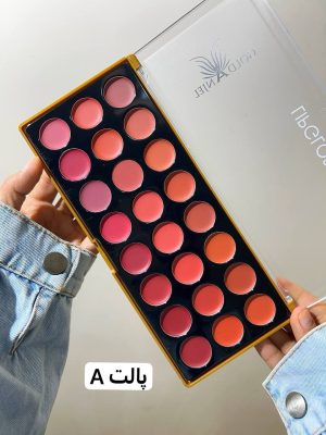 پالت رژلب ۲۴رنگ گلدانجل سری A