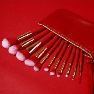 ست براش حرفه ای کیفی bh